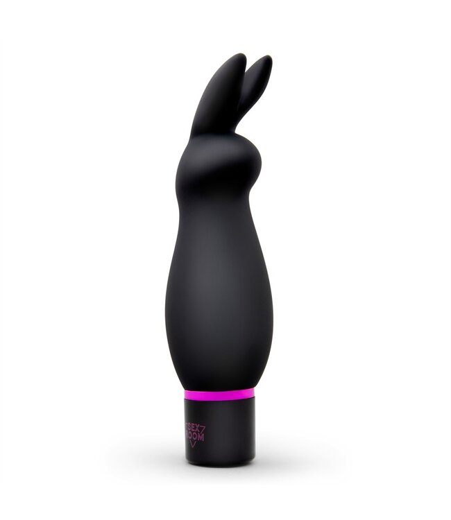Dreamtoys SEX ROOM RAUNCHY KIT