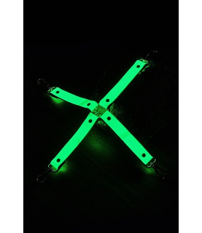 Dreamtoys RADIANT HOG TIE GLOW IN THE DARK GREEN