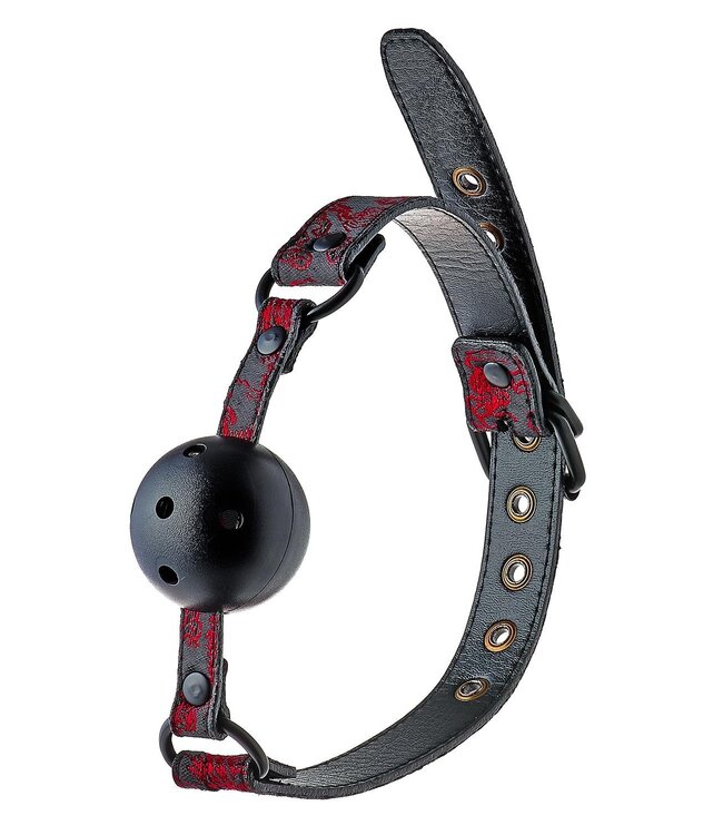 Dreamtoys BLAZE DELUXE BREATHABLE BALL GAG