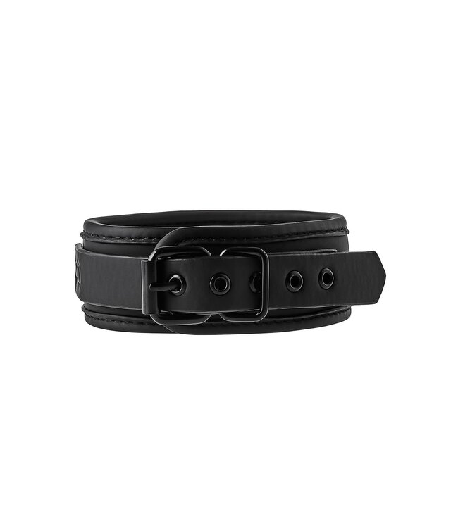 Dreamtoys BLAZE COLLAR AND LEASH BLACK