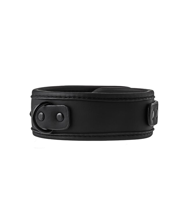 Dreamtoys BLAZE COLLAR AND LEASH BLACK