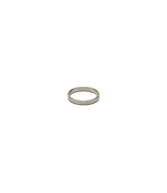 Rimba Rimba - Cockring in hoogwaardig RVS (5 mm breed)