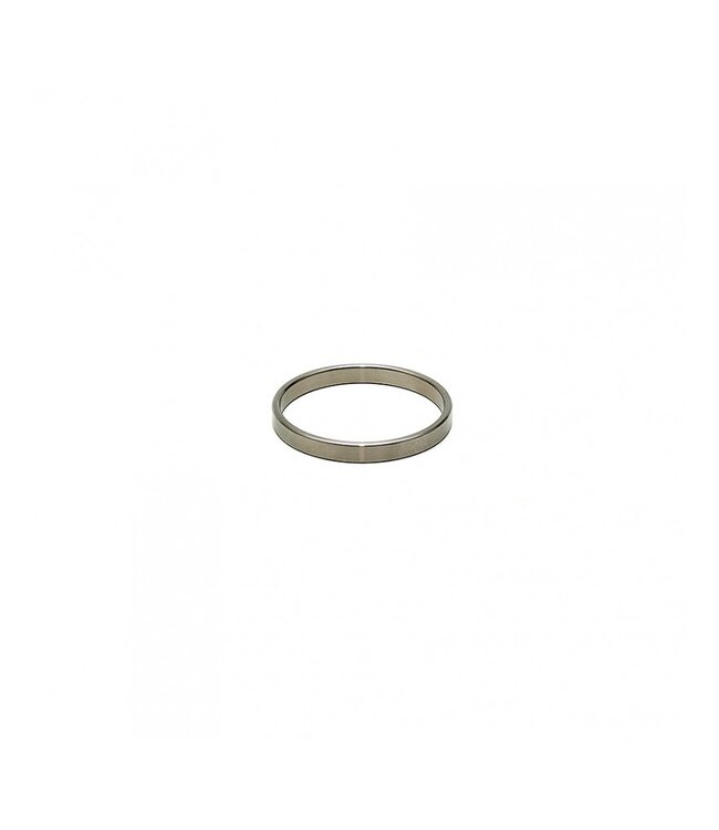 Rimba Rimba - Cockring in hoogwaardig RVS (5 mm breed)