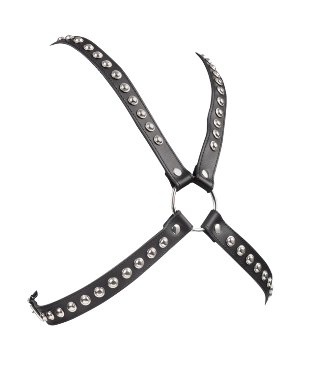Rimba Rimba - Chest harnas versierd met studs