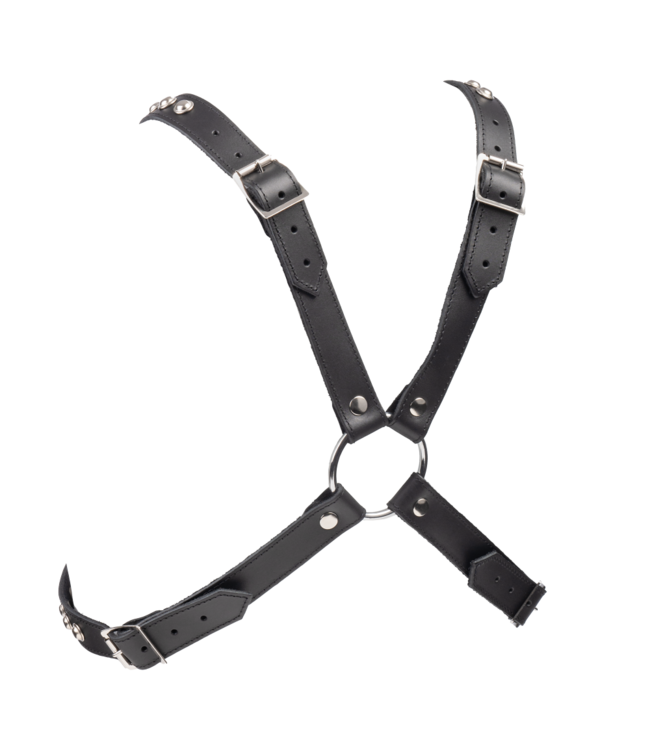 Rimba Rimba - Chest harnas versierd met studs