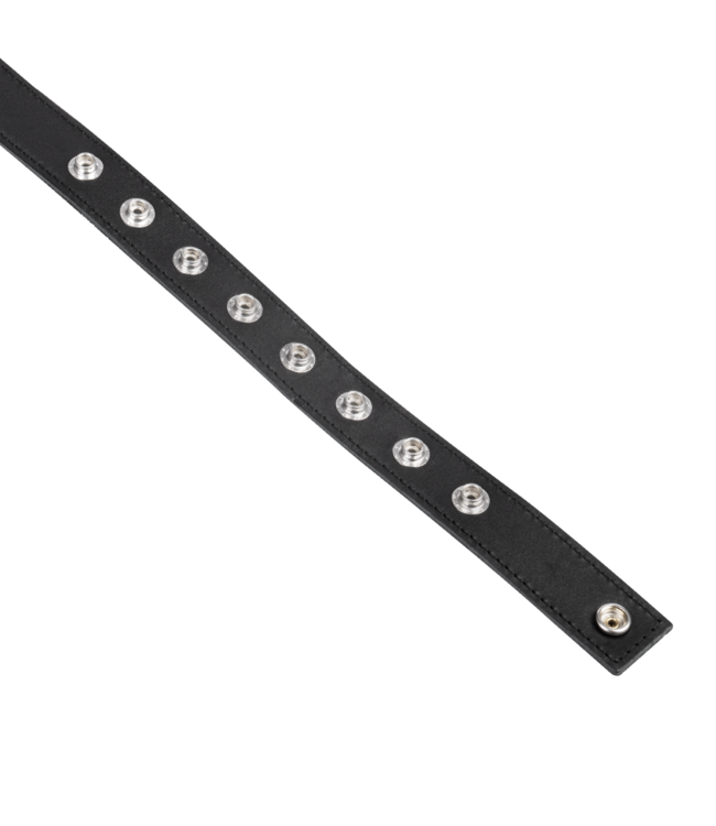 Rimba Rimba - Strip string