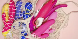 Vergeet de Satisfyer: deze 5 seksspeeltjes ken je waarschijnlijk nog niet