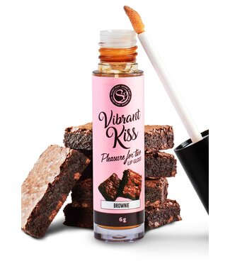 Lip Gloss Vibrant Kiss