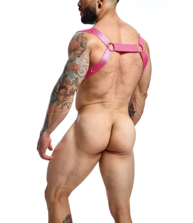 DNGEON Straight Back Harness