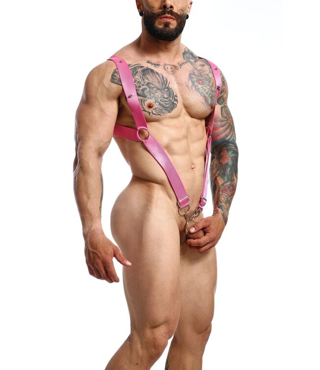 DNGEON Straight Back Harness