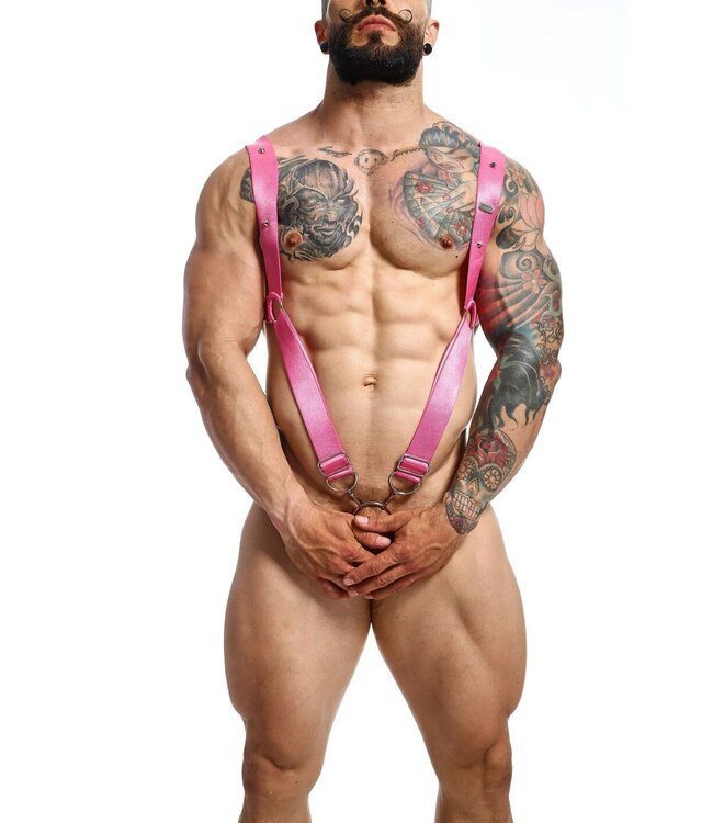 DNGEON Straight Back Harness