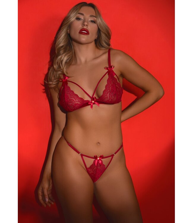 Blushing Romance Bra & Panty Set