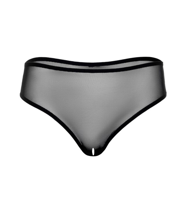 Alexa crotchless mesh panty