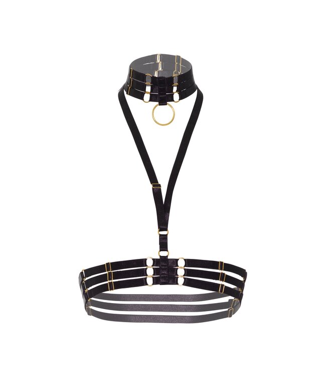 Halter Harness Plus O-Ring Collar