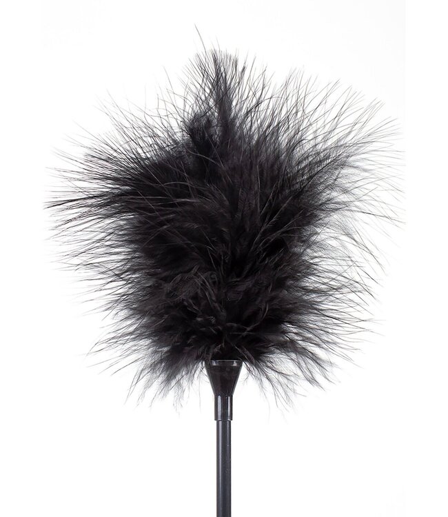 Feather Tickler & Whip