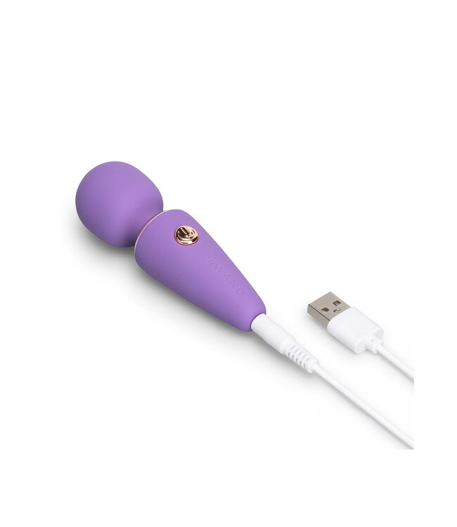 Le Wand Mini Micro Wand