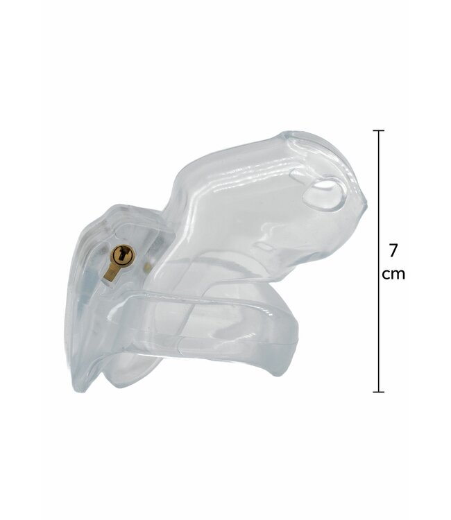 Clear Control Cock Cage Short