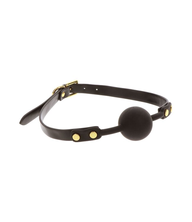Ball Gag