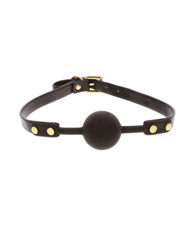 Ball Gag