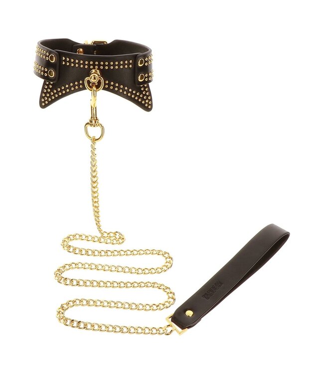 Studded Collar and Leash