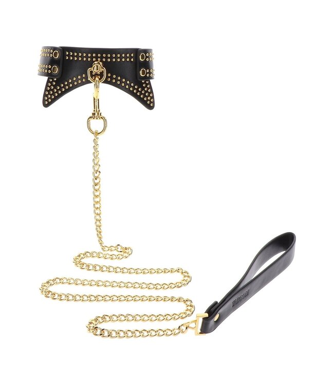 Studded Collar and Leash