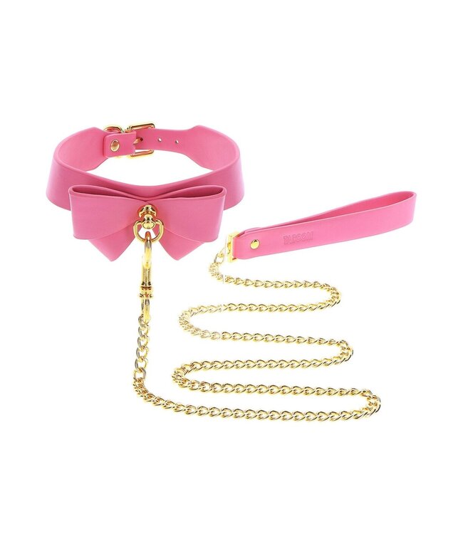 Collar and Leash