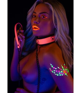 Collar and Chain Leash