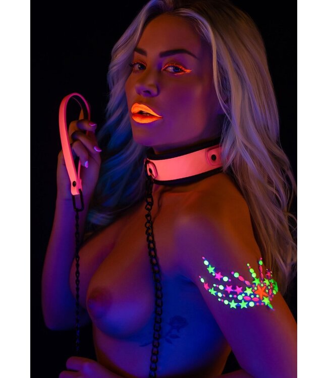 Collar and Chain Leash