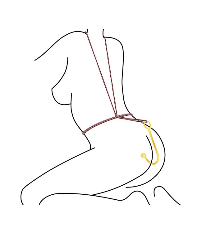 Luxury Anal Hook
