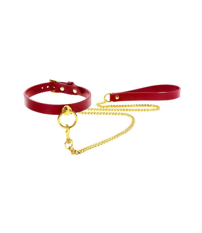 O-Ring Collar and Chain Leash