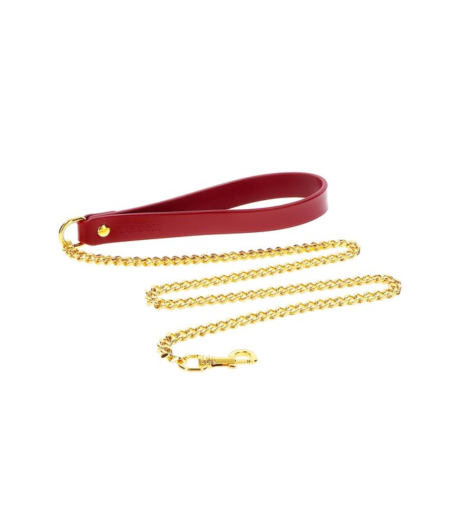 Chain Leash