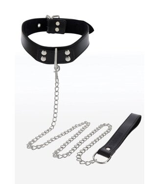 Elegant Collar and Chain Leash