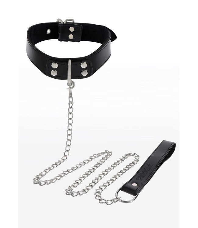 Elegant Collar and Chain Leash