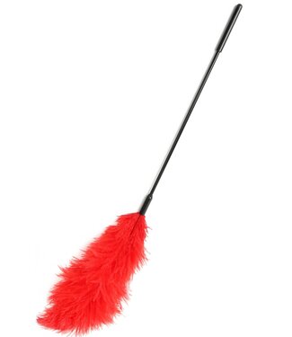 Double Feather Tickler