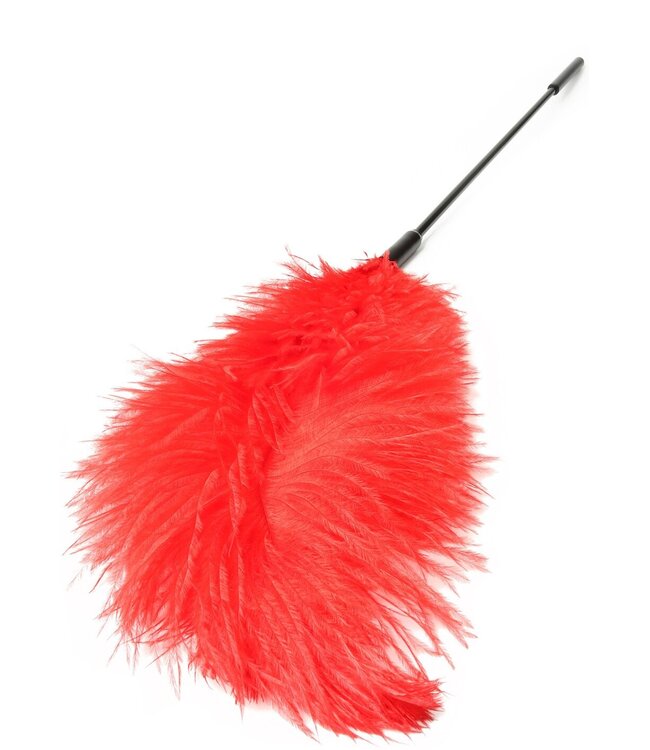 Double Feather Tickler