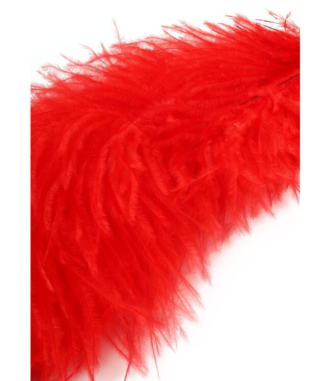 Double Feather Tickler