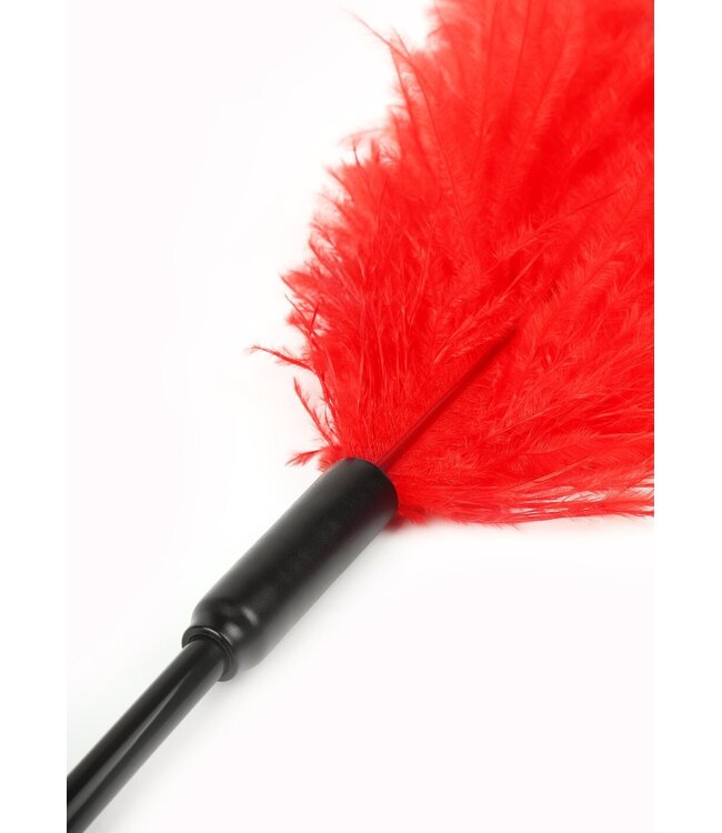 Double Feather Tickler