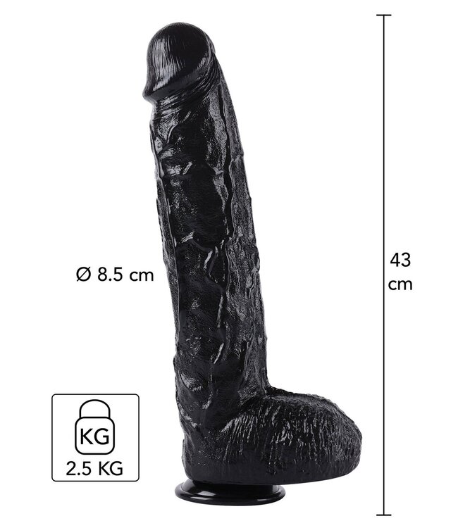 Dong 43 cm