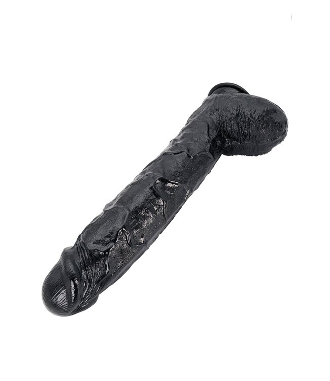 Dong 43 cm