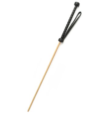 The Obedience Cane