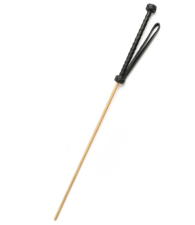 The Obedience Cane