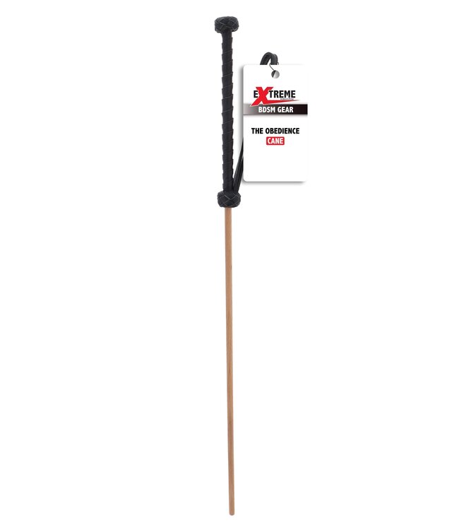 The Obedience Cane