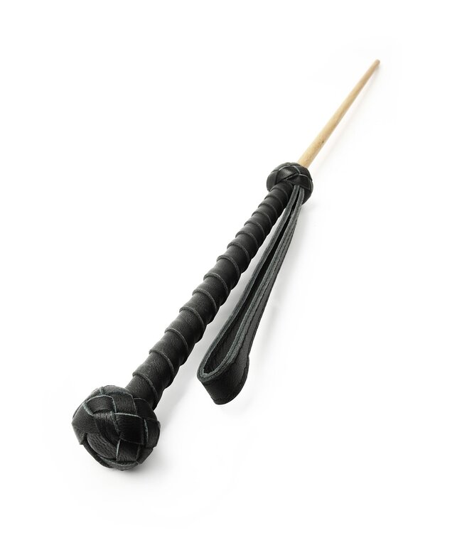 The Obedience Cane