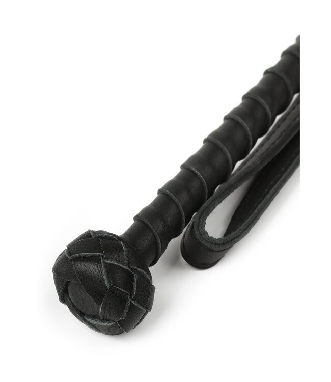 The Obedience Cane
