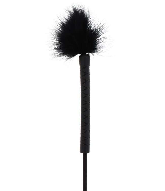 Crop Whip Feather Tickler
