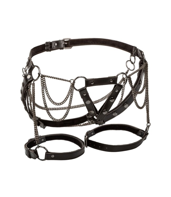 Harness With Chains Plus