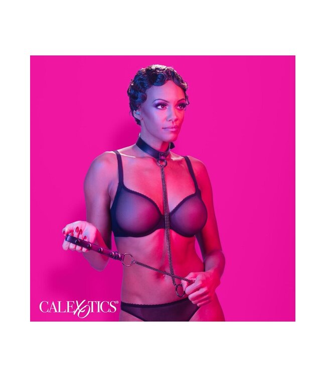 Chain Halter & Collar