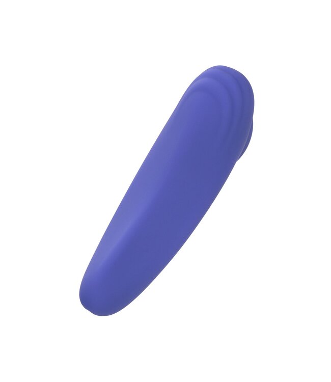 Calex Connect Panty Teaser