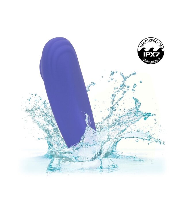 Calex Connect Panty Teaser