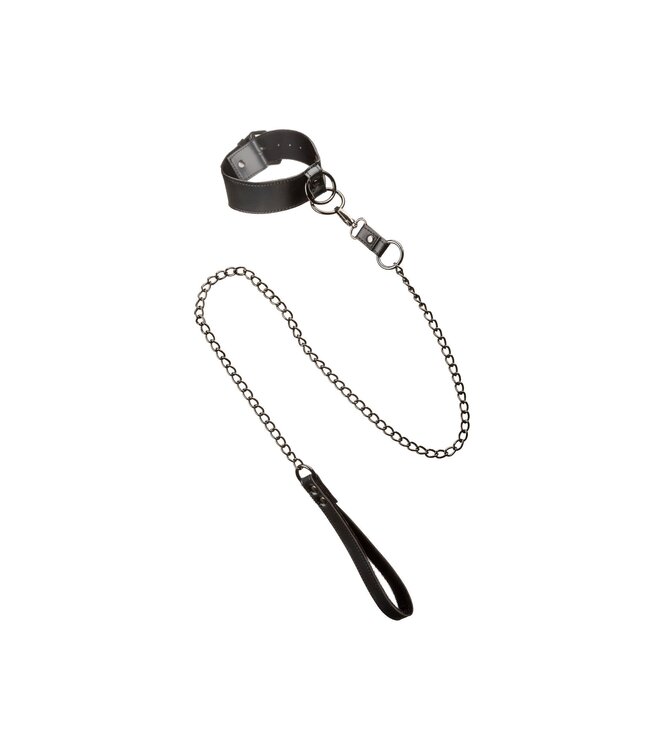 Collar With Chain Leash